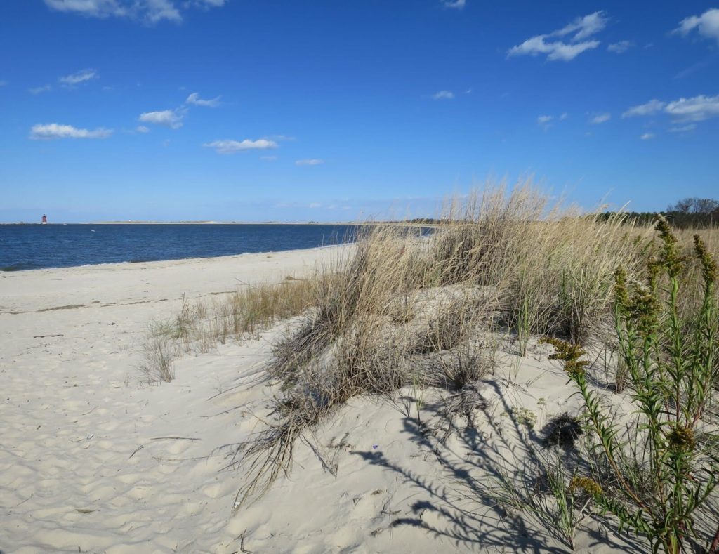 Cape Henlopen Delaware Campground