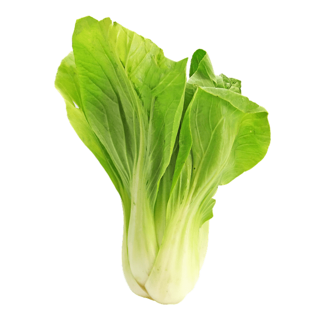 a bok choy