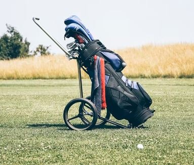 Cart Golf Bags