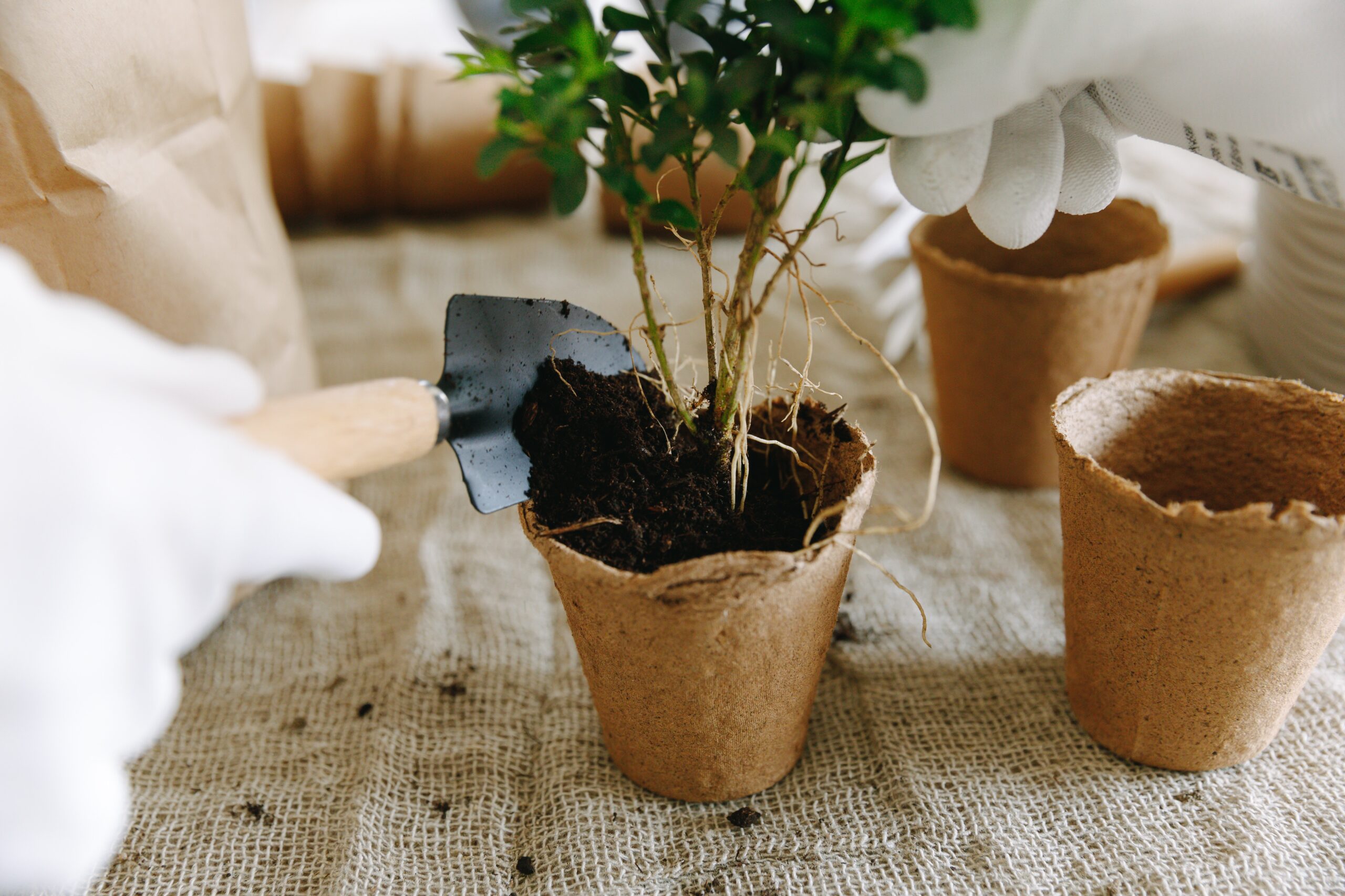 Man-using-trowel-to-put-soil-on-a-brown-pot