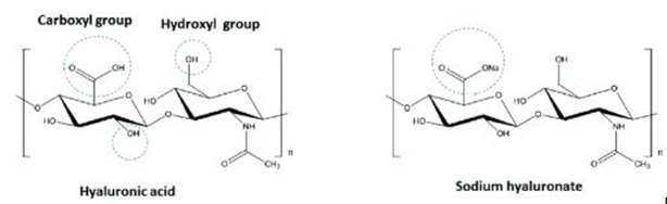 Sodium Hyaluronate and Its Features
