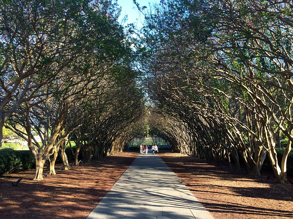 Walkway at Dallas Arboretum