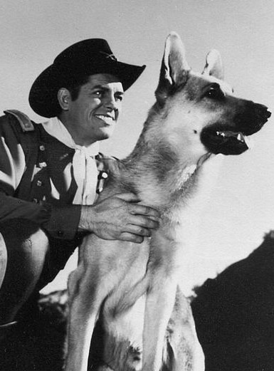 Rin tin tin postcard