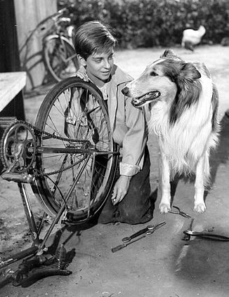 Lassie